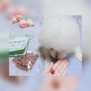 My Pet Care 천연단백질 눈건강에 개좋아 — 5점을 준 리뷰어가 2021년 2월 올린 사용 사진