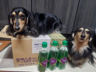 5_daks님이 올린 리뷰 사진 1