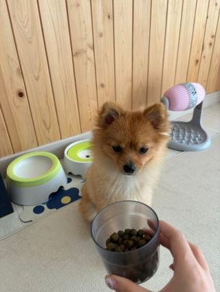 다영님이 올린 리뷰 사진 2