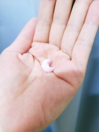 EunhyeKim님이 올린 리뷰 사진 4