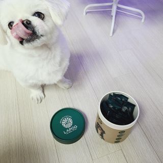 [푸디웜] 라포그 코어덴탈츄 그린 (10개입) — 5점을 준 리뷰어가 2022년 12월 올린 사용 사진