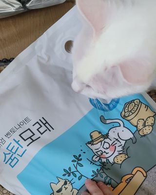 대박이님이 올린 리뷰 사진 1