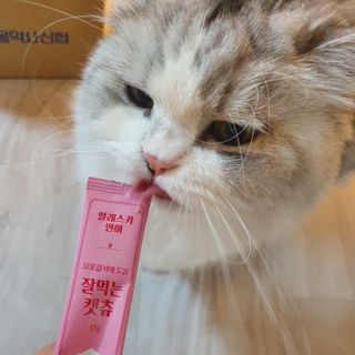 페페로니 잘 먹는 캣츄 - 알래스카 연어 24개입 — 5점을 준 리뷰어가 2021년 9월 올린 사용 사진