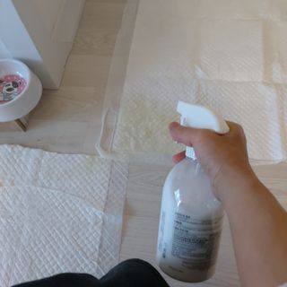 편백의정석 편백의 정석, 피톤치드스프레이 살균 천연 탈취제 집먼지 진드기 이불 침대 매트리스 새집중후군 천연 살균제 — 4점을 준 리뷰어가 2021년 4월 올린 사용 사진