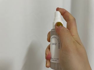 디어포레스트 [5개세트] 숲속의 하루 패브릭미스트 (섬유향수/ 룸스프레이) 50ml 5개 — 5점을 준 리뷰어가 2022년 10월 올린 사용 사진