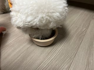 정민트님이 올린 리뷰 사진 2