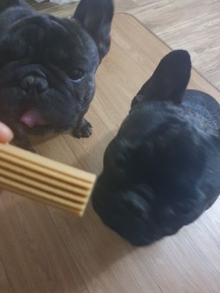 탱탱볼님이 올린 리뷰 사진 3