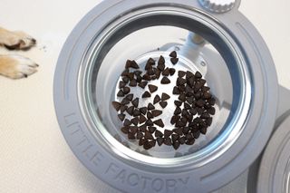 [푸디웜] 라포그  리얼인섹트 관절 저알러지 강아지 사료  1.2KG — 5점을 준 리뷰어가 2022년 8월 올린 사용 사진