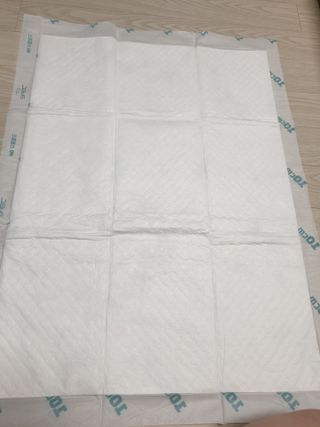 아베크 펫 와이드 프리미엄 대형 애견 강아지 배변 패드 30매 1팩 80g — 5점을 준 리뷰어가 2021년 7월 올린 사용 사진