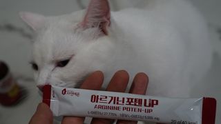 자연에온 고함량 아르기닌 포텐 UP 5555mg 20g x 15포 — 5점을 준 리뷰어가 2021년 9월 올린 사용 사진