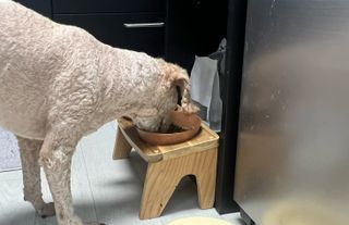 하이핼로루디님이 올린 리뷰 사진 1