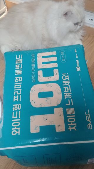 켈리심님이 올린 리뷰 사진 3