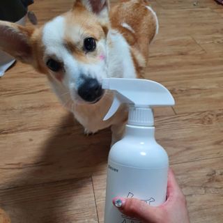 샤넬젤라님이 올린 리뷰 사진 2
