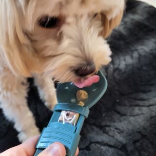 펭뽀꾸님이 올린 리뷰 사진 2