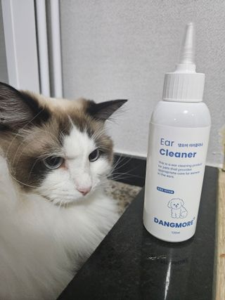 [댕모어 클리너 3종] 아이클리너 / 이어클리너 / 덴탈클리너 3종 세트 (120ml) — 5점을 준 리뷰어가 2023년 12월 올린 사용 사진