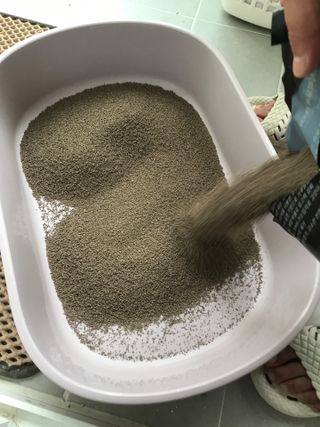오필리뷰님이 올린 리뷰 사진 4