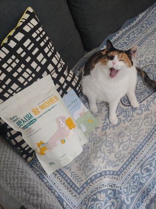 [펫시밀] 원물그대로 영양듬뿍 동결건조 왕북어트릿300g,왕치킨트릿400g,열빙어트릿300g 대용량 간식 — 5점을 준 리뷰어가 2023년 5월 올린 사용 사진