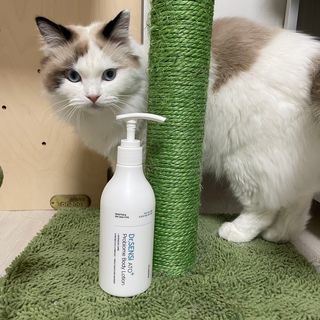 daylog님이 올린 리뷰 사진 1
