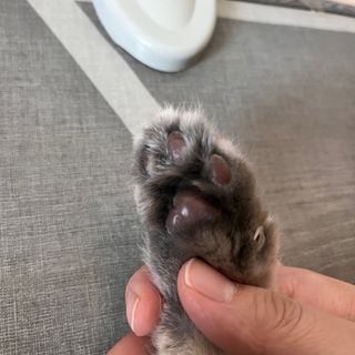 내이름은윤또님이 올린 리뷰 사진 3