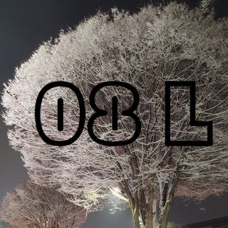 0.8L 마케팅팀 - — 5점을 준 리뷰어가 2021년 5월 올린 사용 사진