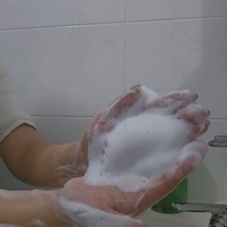 닥터시드 티트리 앤 라임 비건 지성케어 쿨 탈모 샴푸 (1000ml) — 5점을 준 리뷰어가 2024년 4월 올린 사용 사진