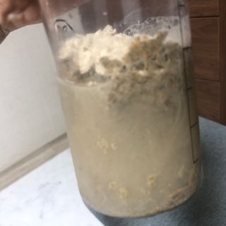 나니누네노님이 올린 리뷰 사진 4