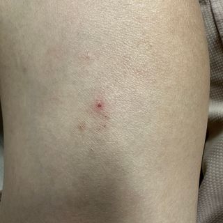 핫뚜핫뚜님이 올린 리뷰 사진 3