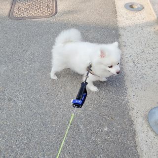 꼬마나두님이 올린 리뷰 사진 1