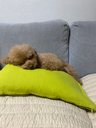 우겅님이 올린 리뷰 사진 2