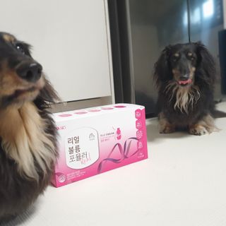 일삼마미뽕님이 올린 리뷰 사진 1