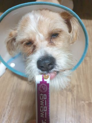 5냥2멍님이 올린 리뷰 사진 3