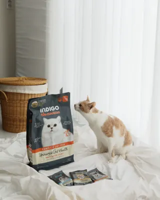 달바라기님이 올린 리뷰 사진 3