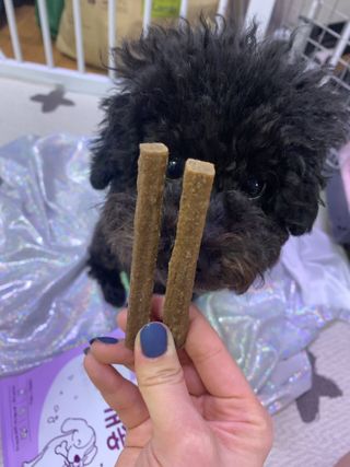 My Pet Care 천연단백질 치아건강에 개좋아 — 2.5점을 준 리뷰어가 2021년 1월 올린 사용 사진