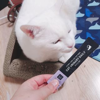 김수수님이 올린 리뷰 사진 1