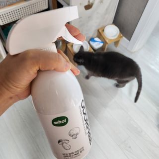 부우기님이 올린 리뷰 사진 3
