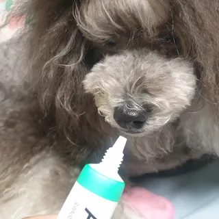 BlossomY님이 올린 리뷰 사진 2