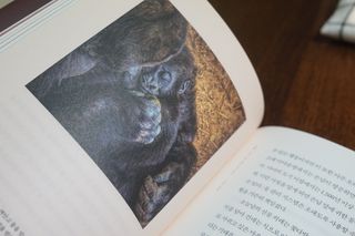je님이 올린 리뷰 사진 4