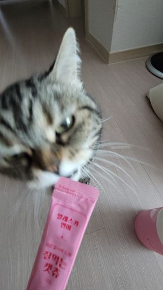 페페로니 잘 먹는 캣츄 - 알래스카 연어 24개입 — 5점을 준 리뷰어가 2021년 7월 올린 사용 사진