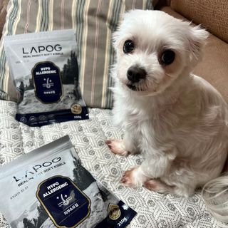 [푸디웜] 라포그 리얼인섹트 소프트키블 스킨 1KG — 5점을 준 리뷰어가 2022년 9월 올린 사용 사진