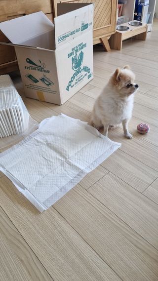 보미누나님이 올린 리뷰 사진 3
