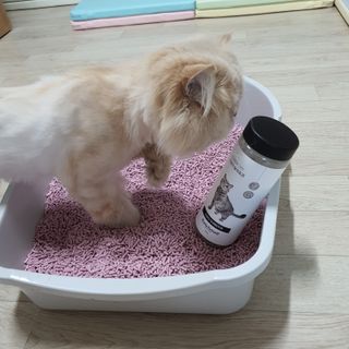 동주맘님이 올린 리뷰 사진 1