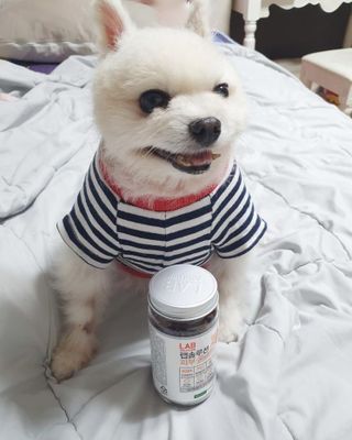 리뷰맨스님이 올린 리뷰 사진 1