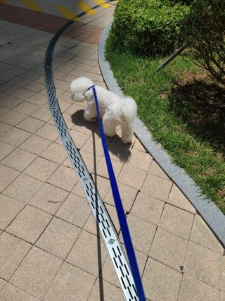 꾸꾸엄마님이 올린 리뷰 사진 3