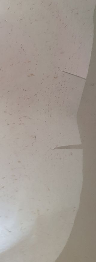 세뚜아(Cettua) 세뚜아 스티키 포어 패치 Cettua Sticky Pore Patch — 5점을 준 리뷰어가 2023년 10월 올린 사용 사진