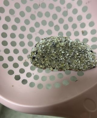 설탕칸쵸님이 올린 리뷰 사진 3