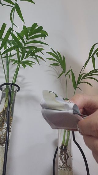 메디포스트 모비타 글루타치온 이지 필름형 30매 — 5점을 준 리뷰어가 2022년 11월 올린 사용 사진