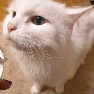 suususu님이 올린 리뷰 사진 2
