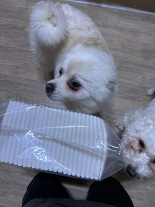 Bella님이 올린 리뷰 사진 2