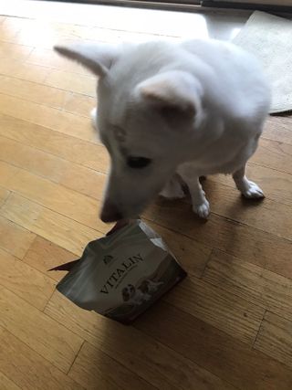 스쿰비님이 올린 리뷰 사진 3