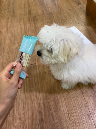 페페로니 클린플러스 덴탈치킨껌 10g x 14p — 4.5점을 준 리뷰어가 2021년 7월 올린 사용 사진
